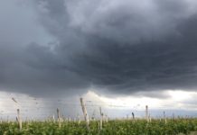 Sábado inestable con tormentas, zonda en precordillera y posible caída de granizo