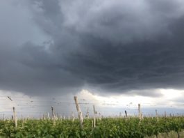 Sábado inestable con tormentas, zonda en precordillera y posible caída de granizo