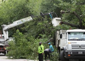 Mendoza: se realizaron 10 intervenciones por la tormenta de este sábado