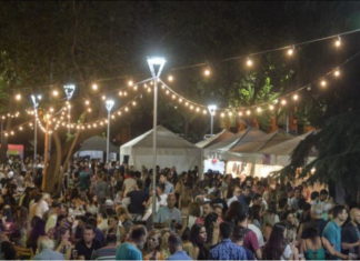 Rivadavia tendrá su primera peatonal del vino