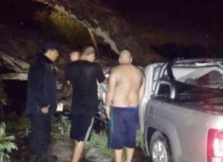 Junín debe pagar 40 millones por muerte ocasionada por la caída de un árbol