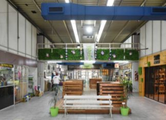 Censo 2022: ¿Qué actividades pueden hacer los mendocinos durante el feriado?