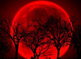 Esta noche eclipse total de "luna de sangre"