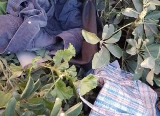 Lo buscaban hace 10 años en Mendoza y cayó por una cartera