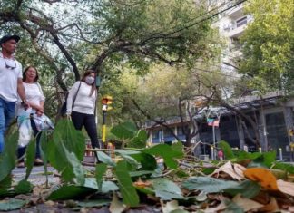 Pronóstico: probabilidad de Zonda y aumento de la temperatura para este finde largo