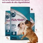 Nutribon_2023_06_07