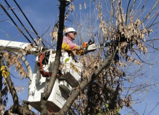 Corte de luz en Uspallata: Edemsa informó que fue culpa de una falla y de empleados municipales