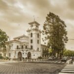 Alerta amarilla por fuertes ráfagas de viento Zonda