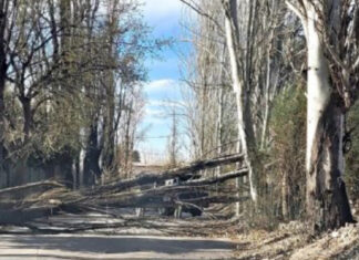 Rivadavia fue el departamento más afectado por el zonda