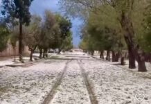 Distritos del Este los más afectados con caída de granizo