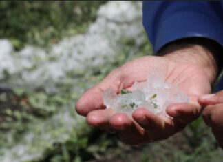 Rivadavia: pronostican alerta amarilla por granizo para este jueves