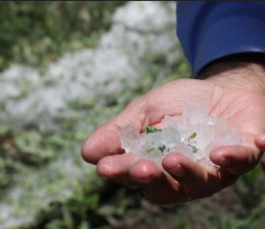Rivadavia: pronostican alerta amarilla por granizo para este jueves