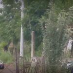 Junín: policía conducía con casi 2 gramos de alcohol en sangre y chocó