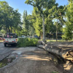 Temporal: Santa Rosa y Rivadavia suman más de 40 incidentes por vientos y granizo