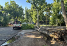 Temporal: Santa Rosa y Rivadavia suman más de 40 incidentes por vientos y granizo