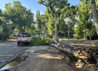 Temporal: Santa Rosa y Rivadavia suman más de 40 incidentes por vientos y granizo