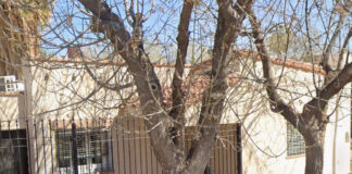 San Martín: cayó un prófugo con pedido de captura internacional