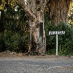 San Martín: Conductor alcoholizado se salvó de milagro tras caer a una acequia e incendiarse su vehículo