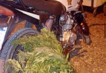 Junín: motociclista detenido con más de tres kilos de cannabis