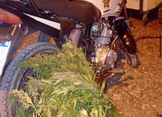 Junín: motociclista detenido con más de tres kilos de cannabis