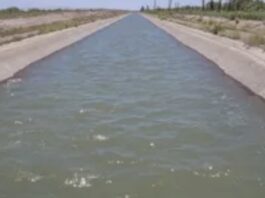 Rivadavia: una mujer murió en un cauce de agua