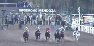 Mudar el Hipódromo a Junín: Abed reconoce el interés pero advierte por la "gran inversión" necesaria.