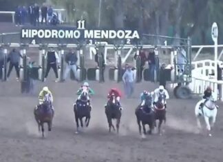 Mudar el Hipódromo a Junín: Abed reconoce el interés pero advierte por la "gran inversión" necesaria.