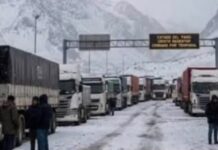 El Paso a Chile abrirá este martes para camiones desde Argentina