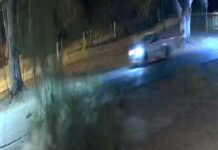 San Martín: conductor herido tras la caída de una rama sobre su camioneta