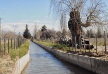 Junín: Búsqueda desesperada de un niño de 10 años que cayó al canal