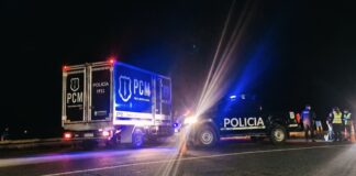 Investigan la trágica muerte de un hombre tras ser embestido en la Ruta 7 a la altura de Palmira